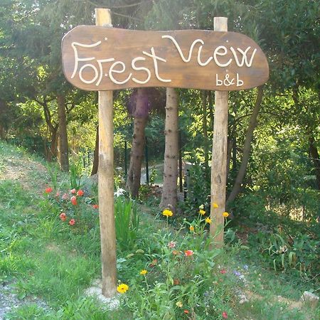 Forest View B&B 加维 外观 照片